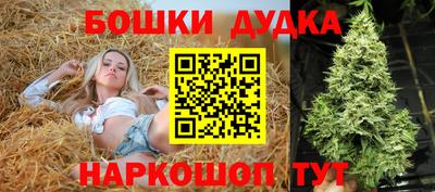 мдпв Мариинск
