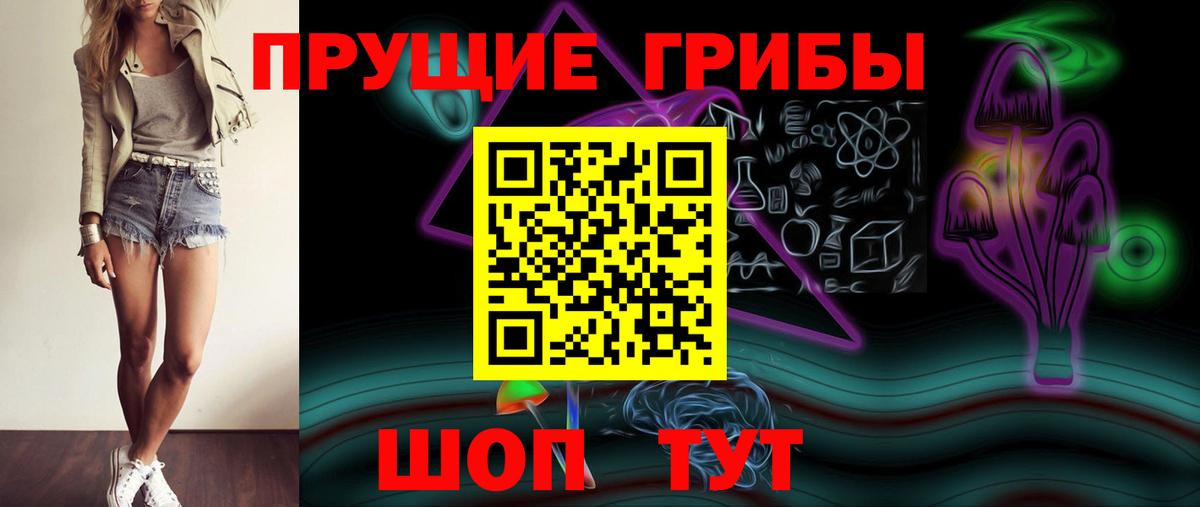 Псилоцибиновые грибы Psilocybe Южно-Сахалинск